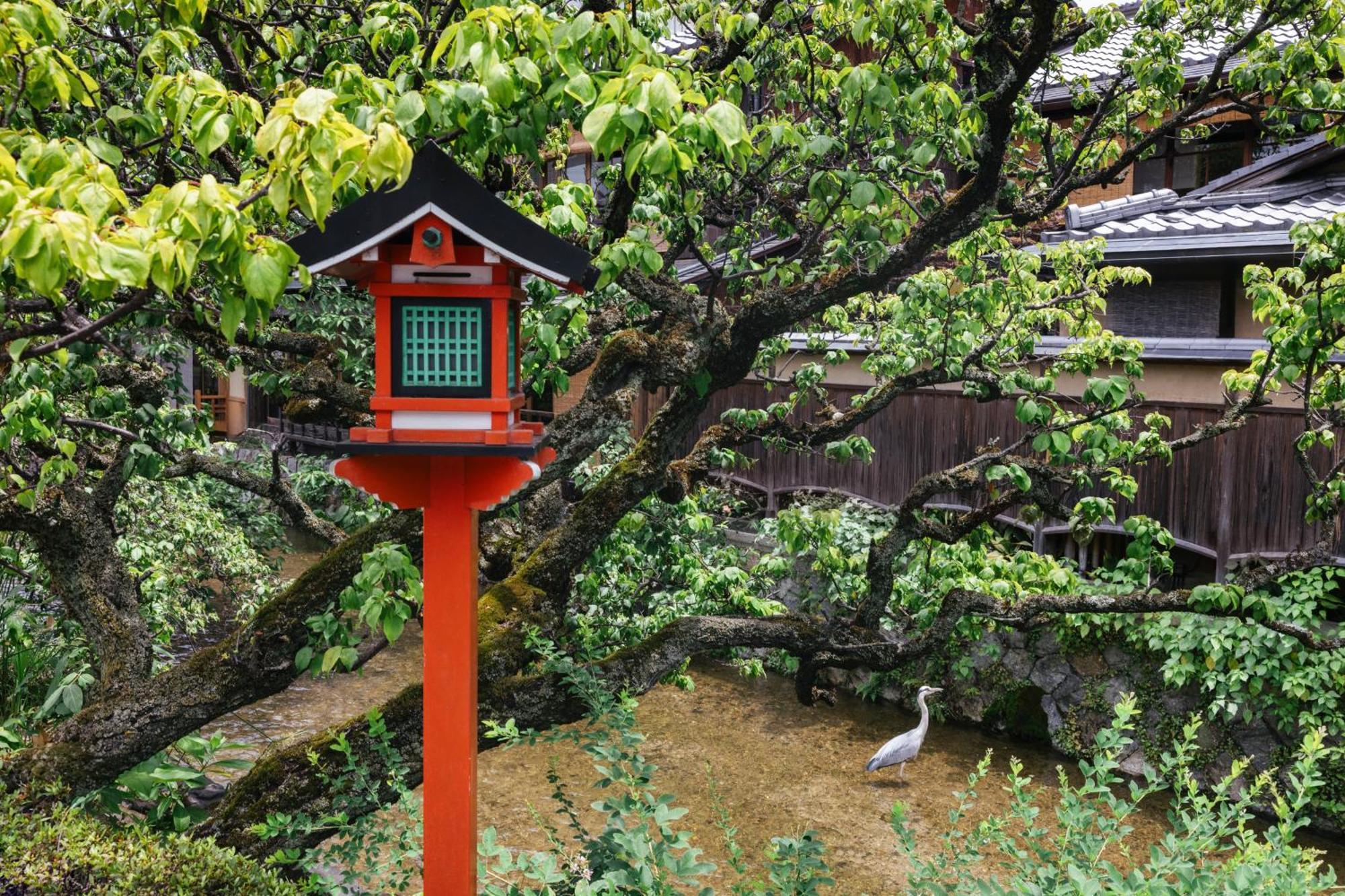 Six Senses Kyoto Quioto Exterior foto